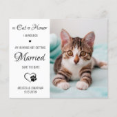 Cat Of Honor Pet Photo Cat Save The Date Cards (正面)