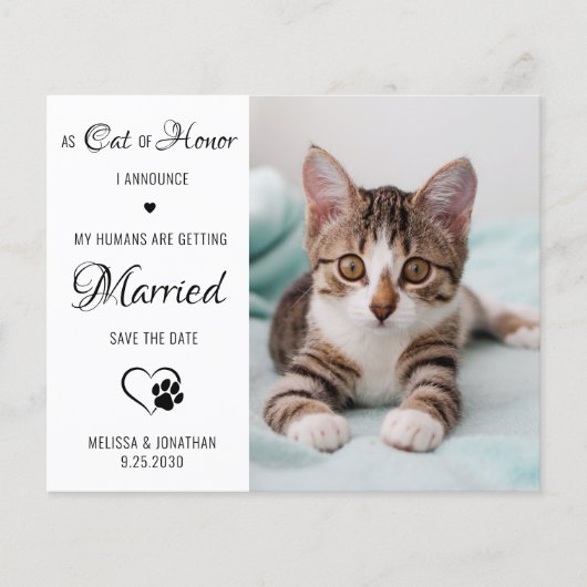 Cat Of Honor Pet Photo Cat Save The Date Cards (正面)