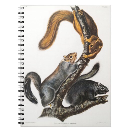 Cat of North America by John James Audubon ノートブック (正面)