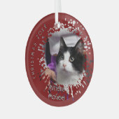 Cat on 2025 Red Splatter Pattern Christmas ガラスオーナメント (正面左)