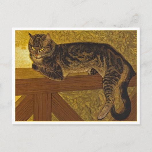 Cat on a Balustrade by Steinlen ポストカード (正面)