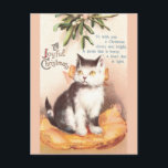 Cat on Cushion 'Neath Mistletoe Vintage Christmas シーズンポストカード<br><div class="desc">"To wish you a Christmas cheery and bright,  A purse that is heavy,  a heart that is light." A cat sitting on a chair cushion beneath a sprig of mistletoe in a vintage Christmas postcard from 1912.</div>