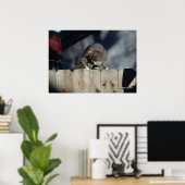 Cat on Fence (11)ポスター ポスター (ホームオフィス)