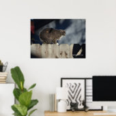 Cat on Fence (12)ポスター ポスター (ホームオフィス)