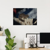 Cat on Fence (16)ポスター ポスター (ホームオフィス)