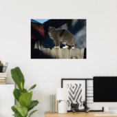 Cat on Fence (20)ポスター ポスター (ホームオフィス)