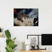 Cat on Fence (2)ポスター ポスター (ホームオフィス)