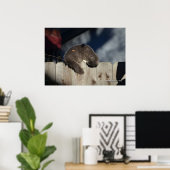 Cat on Fence (3)ポスター ポスター (ホームオフィス)