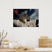 Cat on Fence (3)ポスター ポスター (キッチン)