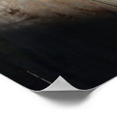 Cat on Fence (6)ポスター ポスター (角)