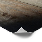 Cat on Fence (8)ポスター ポスター (角)