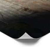 Cat on Fence (9)ポスター ポスター (角)