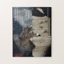 Cat on Fence #9 (Personalize引用文)