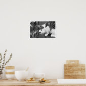 Cat  on Ledge Watching Bird ポスター (キッチン)