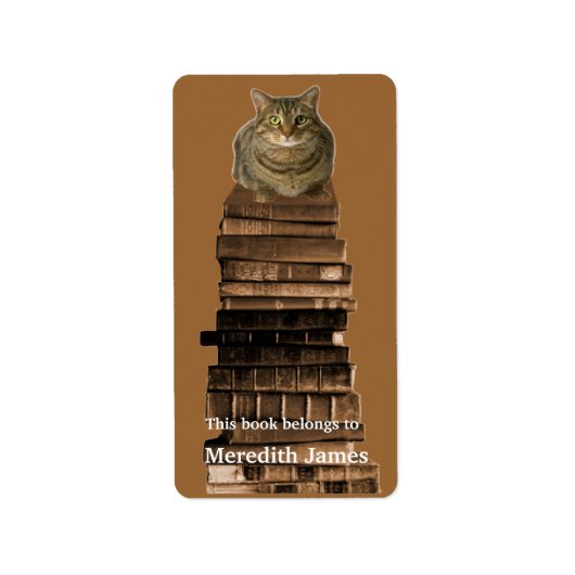 Cat on Stack of Books蔵書票 ラベル (正面)