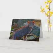 Cat on the Prowl Card カード (黄色い花)