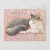 CAT PAINTED POSTCARD ポストカード (正面)