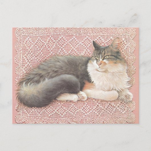 CAT PAINTED POSTCARD ポストカード (正面)