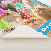 Cat Party シェルパブランケット (3/4)