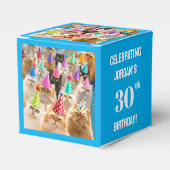 Cat Party フェイバーボックス (正面サイド)