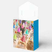 Cat Party フェイバーボックス (オープン)