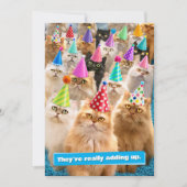 Cat Party 招待状 (正面)