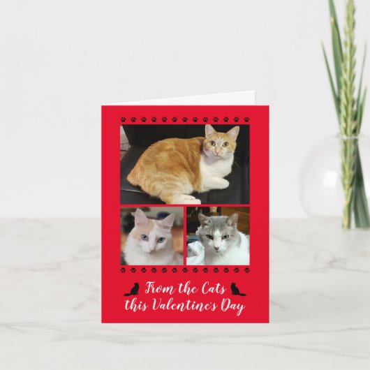 Cat PawおもしろいプリントValentines Red写真3 シーズンカード (正面)