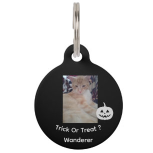 Cat Photo, Halloween文字,名前カスタマイズ, ペット ネームタグ