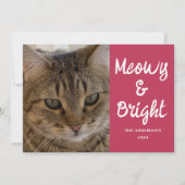 Cat Photo Pink Meowy and Bright Christmas シーズンカード (正面)