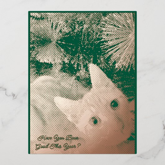 Cat Photo Text Christmas Folded Foil Greeting Card 箔シーズンポストカード (正面)
