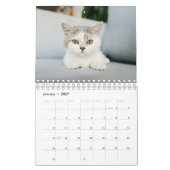 Cat Photos Make Your PAWsome Personalized Calendar カレンダー (1月 2027)