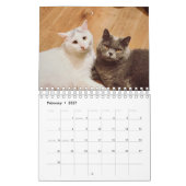 Cat Photos Make Your PAWsome Personalized Calendar カレンダー (2月 2027)