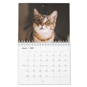 Cat Photos Make Your PAWsome Personalized Calendar カレンダー (3月 2027)