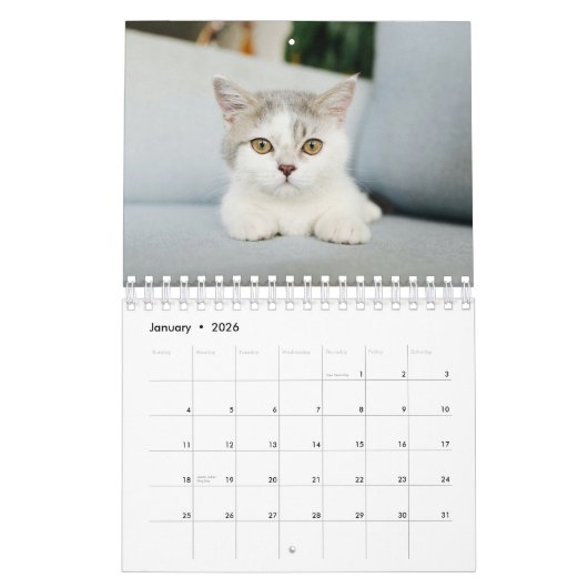 Cat Photos Make Your PAWsome Personalized Calendar カレンダー (1月 2026)