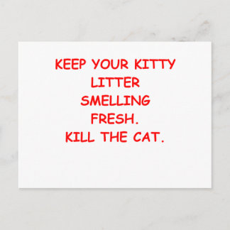 CAT.png ポストカード