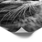 Cat portrait - the thinker ポスター (角)