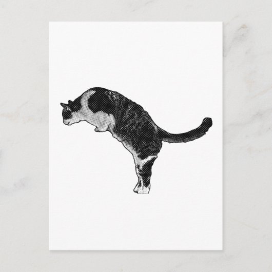 Cat Pose Joy ポストカード (正面)