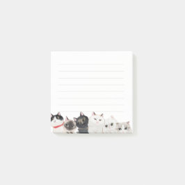Cat Post it Note ポストイット