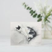 Cat postcard ポストカード (スタンド正面)