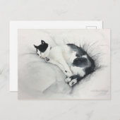 Cat postcard ポストカード (正面/裏面)