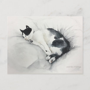 Cat postcard ポストカード