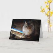 Cat Rainbow Bridgeの弔意または挨拶 カード (黄色い花)