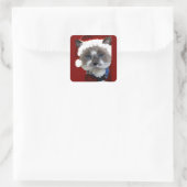 Cat Santa Claws Christmas Maureen Girard Blue Eye スクエアシール (バッグ)