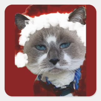 Cat Santa Claws Christmas Maureen Girard Blue Eye  スクエアシール