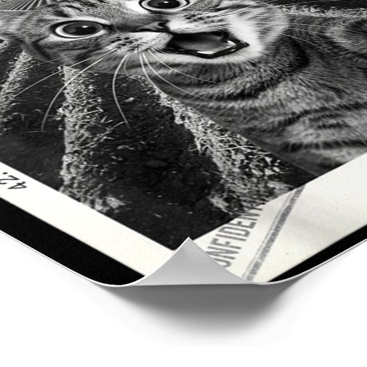 Cat Selfie Ufo Alien Funny Surprised Cat Meme Men  ポスター (角)