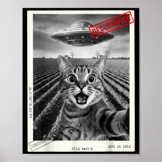 Cat Selfie Ufo Alien Funny Surprised Cat Meme Men  ポスター (正面)