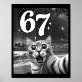 Cat Selfie With 67 Meme Funny Cats Graphic For Men ポスター (正面)