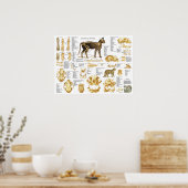 Cat Skeletal Skull Anatomy Poster 18 X 24 ポスター (キッチン)