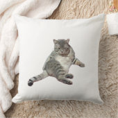 Cat sleeping クッション (ブランケット)