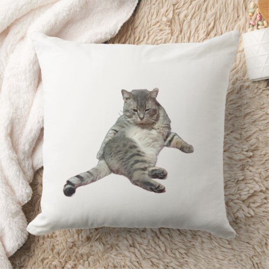 Cat sleeping クッション (ブランケット)